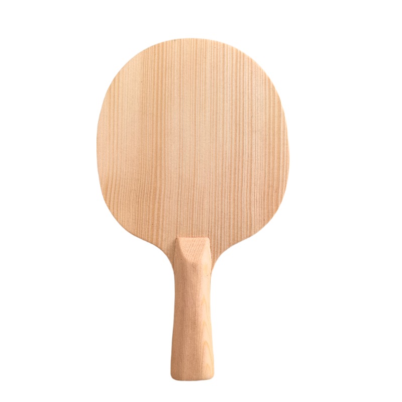 مضرب تنس طاولة احترافي من خشب  - مراجعة Table Tennis Paddles وسعره