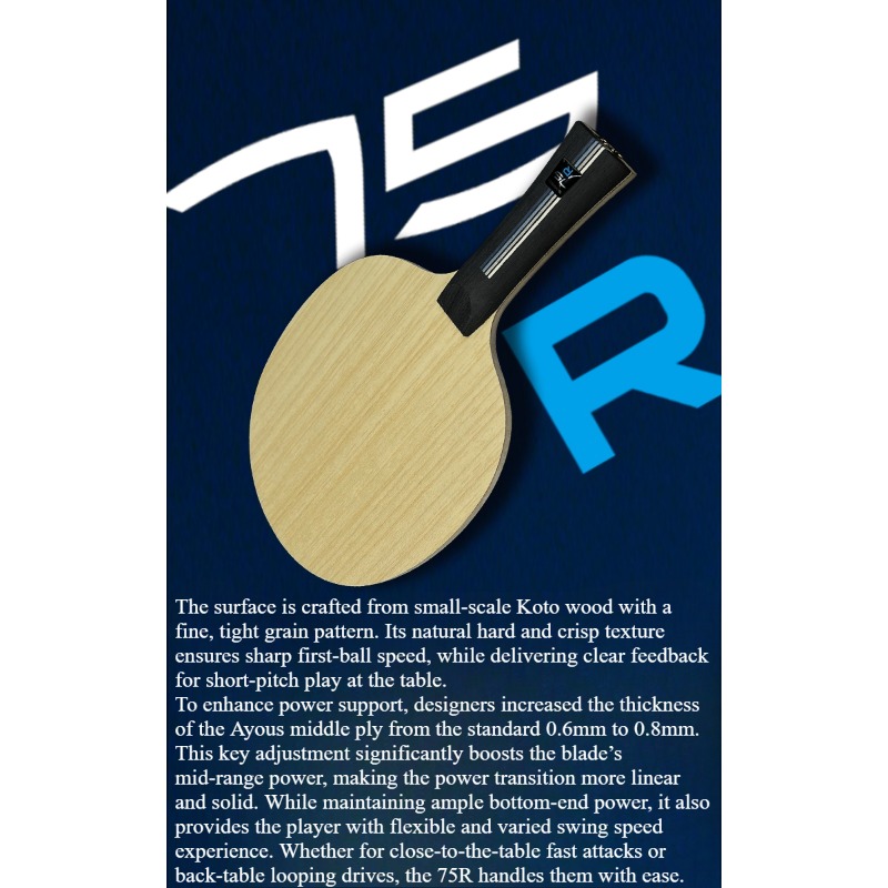 مضرب تنس طاولة SANWEI 75R 5+2  - مراجعة Table Tennis Paddles وسعره
